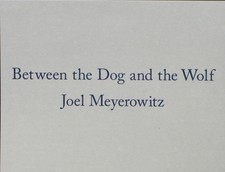 Joel Meyerowitz Between the dog and the wolf. Like new in slipcase box