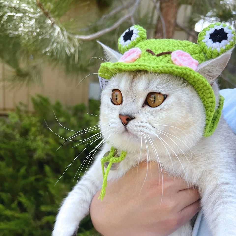 Froggie猫和小狗钩针帽/针织猫帽 — 第 4/4 张图片