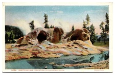 VTG Grotto Geyser Formation, Scenic, Haynes 14029, Yellowstone N.P., WY