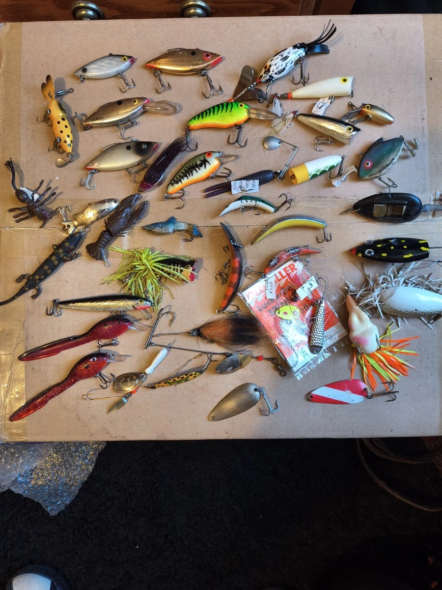 best rod reel combo for trout fishing beaver bogs The Best Fishing Rod and Reel Combos of 2026