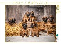 Calvendo Puzzle Barn Party | 1000 Pieces, Finished Size 25.2 × 18.9 In (64 × 48