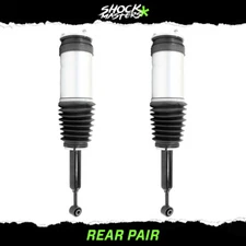 Rear Pair Air Ride Suspension Air Strut Assemblies for 2016-2020 Tesla Model X