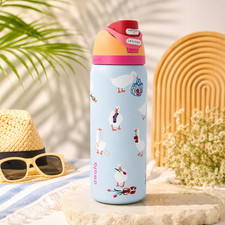 New Owala FreeSip 32oz Silly Goose Special Edition Insulated Water Bottle