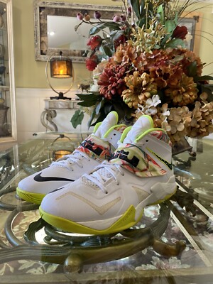 Size Nike LeBron Zoom Soldier King's Pride