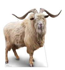 WILD MOUNTAIN GOAT - LIFE SIZE STANDUP/CUTOUT BRAND NEW 5265