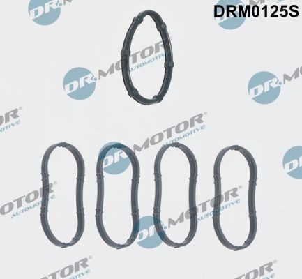 NEU - Dr.Motor Automotive DRM0125S Dichtungssatz, AnsaugkrüMmer FüR Dacia Lada-image