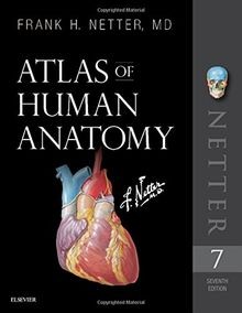 Atlas of Human Anatomy (Netter Basic Science) von Netter... | Buch | Zustand gut