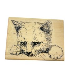 Stamp Cabana Cat Face C4-4P Rubber Stamp 2.75" x 3.75" Pointillism Art