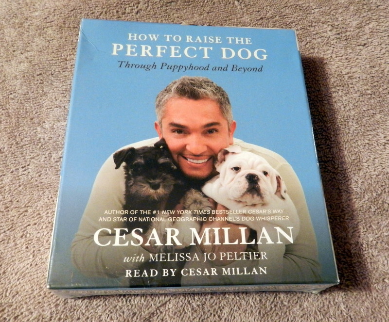How to Raise the Perfect Dog : Through Puppyhood and Beyond by Cesar