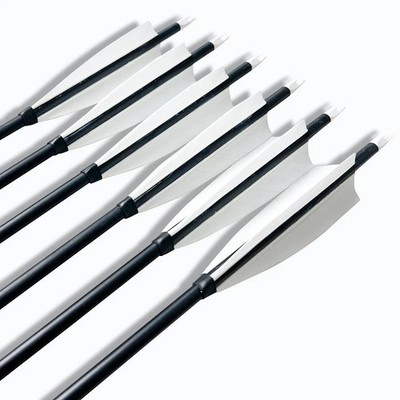 AF 6x 31.5'' 500Spine Carbon Mix Arrows White Feather 8mm Recurve Compound Target