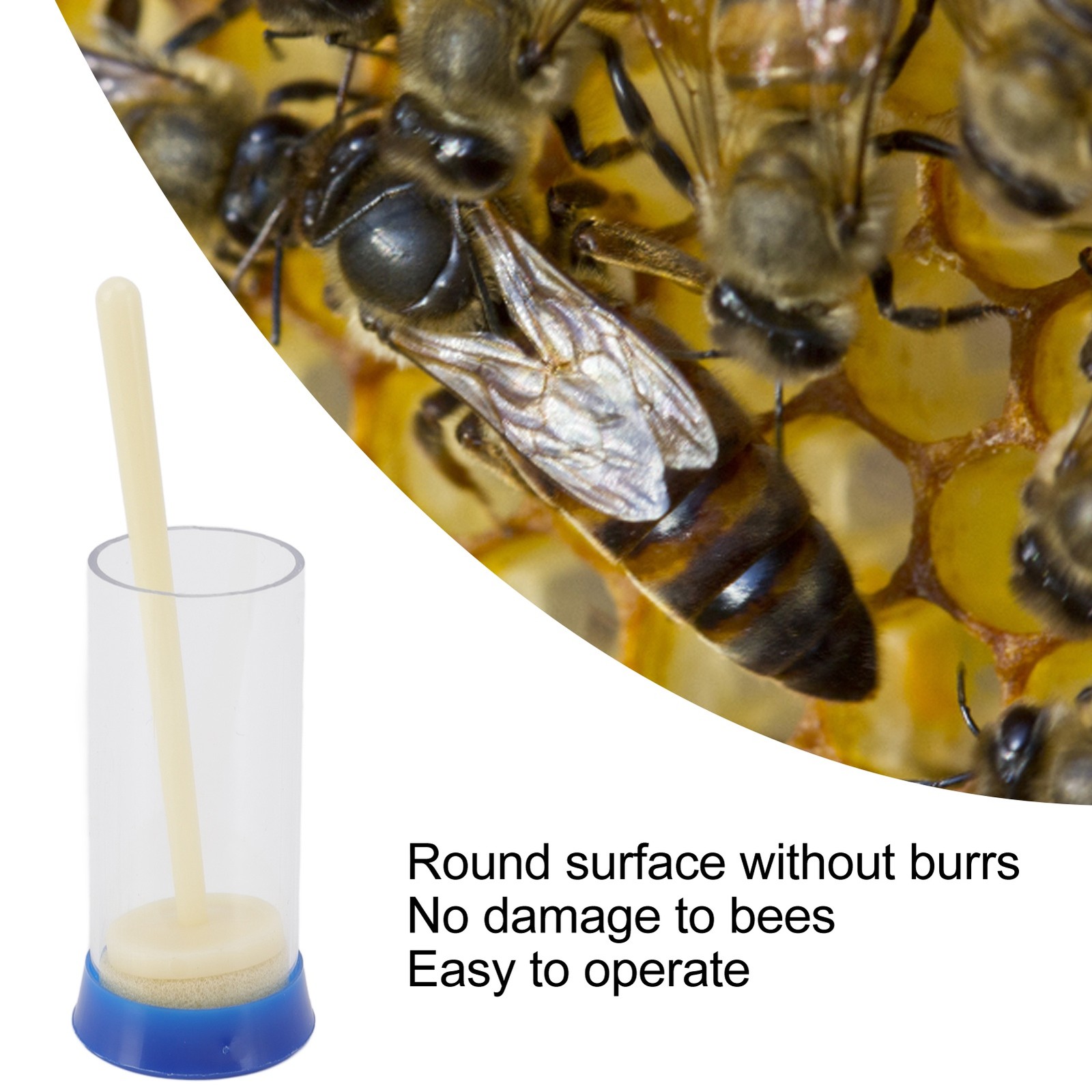 5Pcs Queen Bee Marking Cage Safe Lightweight Tool For Beekeeping