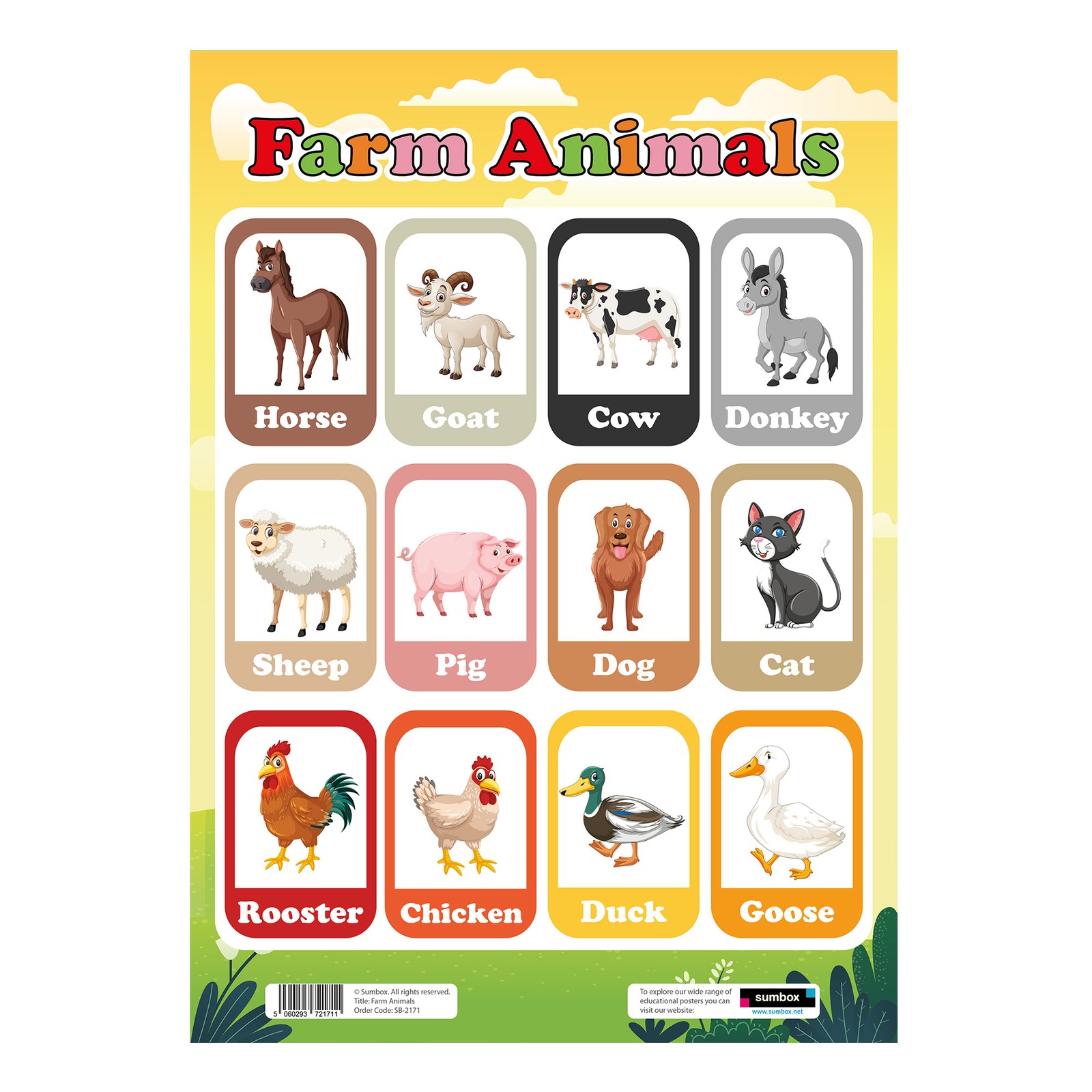 Farm Animals Educational Poster A3 Size Children's Learning Wall Chart Animal