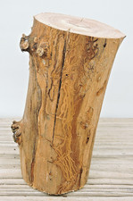 6" Apple Wood Stick Log Chunk 2 7/8 3"D Spalted Straight Knotty Driftwood Craft