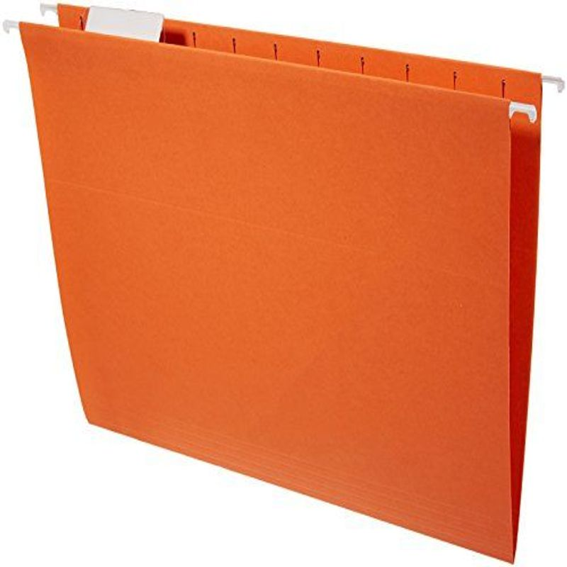 Basics Hanging Organizer File Folders - Letter Size, Assorted Colors ...