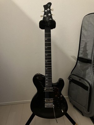 Electric Guitar Ryoga Cicada T2E Light Ash 2P Body Made in Japan 
