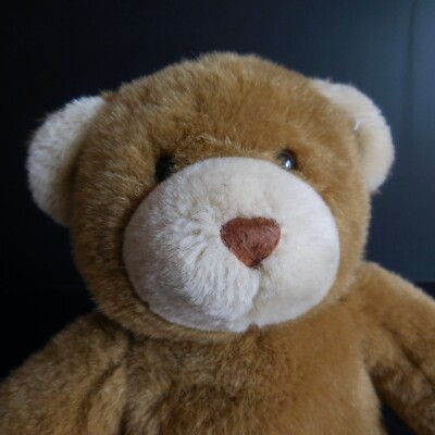 Peluche ours nounours BUILD A BEAR jouet enfant adulte vintage