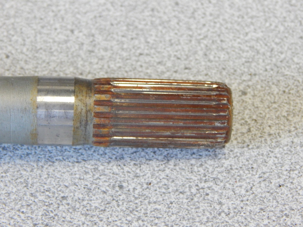 ねおたる s-l1200.jpg