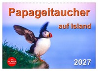 Papageitaucher Auf Island (Wandkalender 2027 DIN A2 Quer), Calvendo Monatskalend