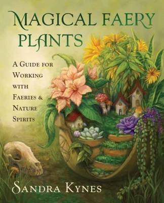 Magical Faery Plants by Sandra Kynes (Paperback Book)