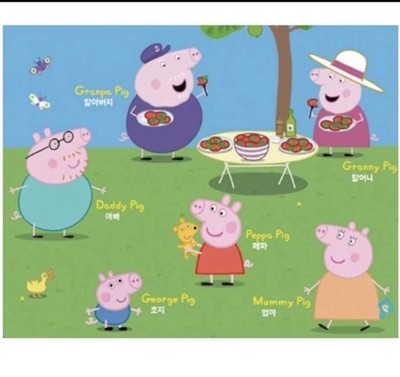 Peppa Pig Season 1-DVD 9 Audio CD Set English Language Kid