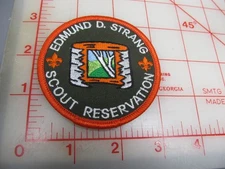 Edmund D. Strang collect Scout Reservation orange border BIRCH TREE patch (o5)