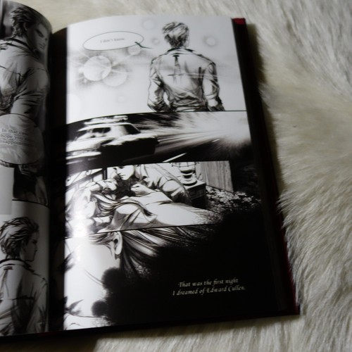 Stephenie Meyer Twilight Graphic Novel Vol 1 Young Kim Stephenie Meyer Book - Picture 4 of 9