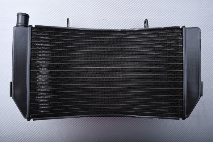 Radiateur eau en aluminium haute performance pour Honda CBR 600 F F3 PC31