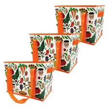 Earthwise Deluxe Collapsible Reusable Shopping Box Grocery Bag Set with Reinf...