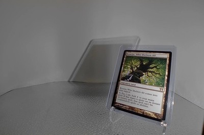 MTG Boseiju, Who Shelters All - Champions of Kamigawa - Rare Land LP