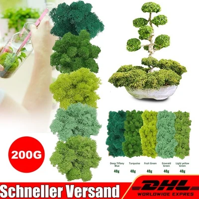 MARKENLOS 200g Kunststoff Islandmoos,Ewiges Moos für Bastelprojekte ,Konserviert Deko Moos