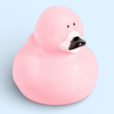 Rubber Duck Flamingo Jeep Been Ducked Light Pink Cruise Ducky Florida Bird New