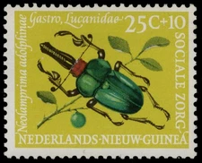 NETHERLANDS NEW GUINEA B29 - Stag Beetle "Neolamprina adolphinae" (pc36448)
