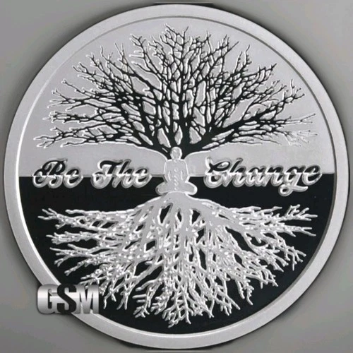 2019 1oz BE THE CHANGE SILVER SHIELD PROOF ROUND w/Box & COA