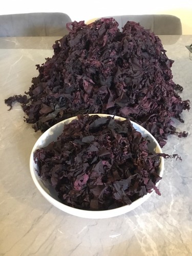FRESH DRIED DULSE SEAWEED- Vegan- Vegetarian- 100g Co.Down Shore High Protein - Picture 2 of 2