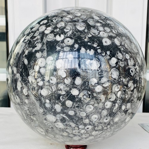 Caracola Natural Cristal Fósil Bola Cuarzo Cristal Esfera Reiki Curación 11400G - Imagen 2 de 12