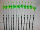 Easton Axis 340 5mm Hunting Carbon Arrows! Crested/Dipped Bohning Blazer Vanes