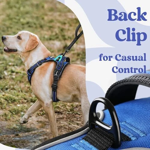 Dog Harness Sized, No Pull Pet Harness with 3 Buckles, Adjustable Medium Blue