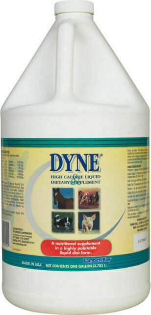 dyne high calorie supplement for dogs