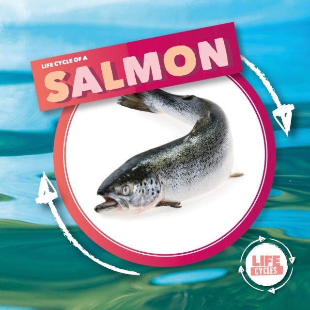 Life Cycle Of A Salmon by Kirsty Holmes (Hardback Book)