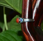 Foto 3 di 4