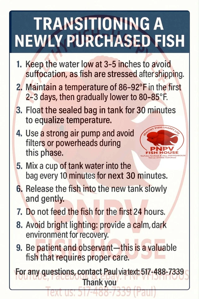 Cuerno de flores premium - VIP 2 tonos Kamfa F2 - 2 pulgadas - Envío nocturno a EE. UU. Foto 3 de 4