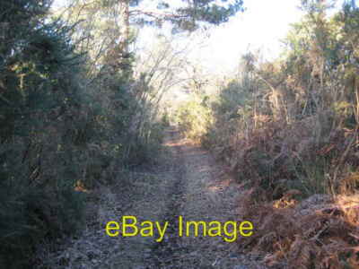 Photo 6x4 Stanford Common Pirbright This well-used gorse-lined footpath a c2008