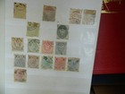 Bild 24 von 24