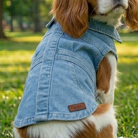 M Denim Dog Dresses for sale