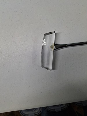 EXTREMELY RARE ~ HOYA CRYSTAL PUTTER GOLF CLUB & Cover ~ HIGHLY COLLECTABLE