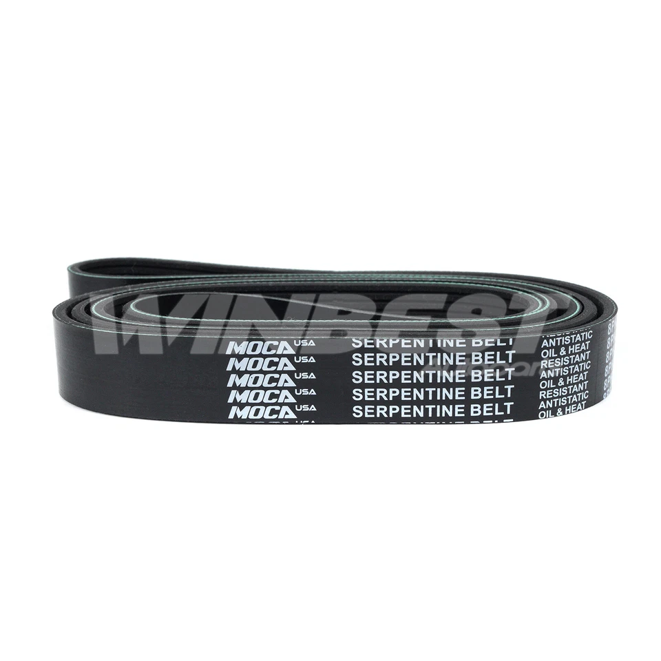 Cinturón serpentino EPDM 8PK2020 para Ford F-150 Heritage F-250 4,6 L 5,4 L 8PK2020 Foto 2 de 4