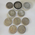 Morgan Silver Dollar Lot of 10 🇺🇸