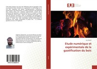 Luc Gerun | Etude NuméRique Et ExpéRimentale De La GazéIfication Du Bois | Buch