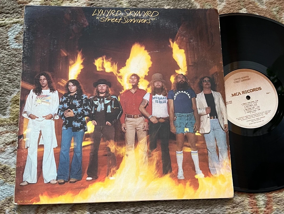 Lynyrd Skynyrd English Vinyl Records for sale | eBay UK