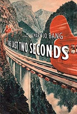 The Last Two Seconds : Poems Paperback Mary Jo Bang